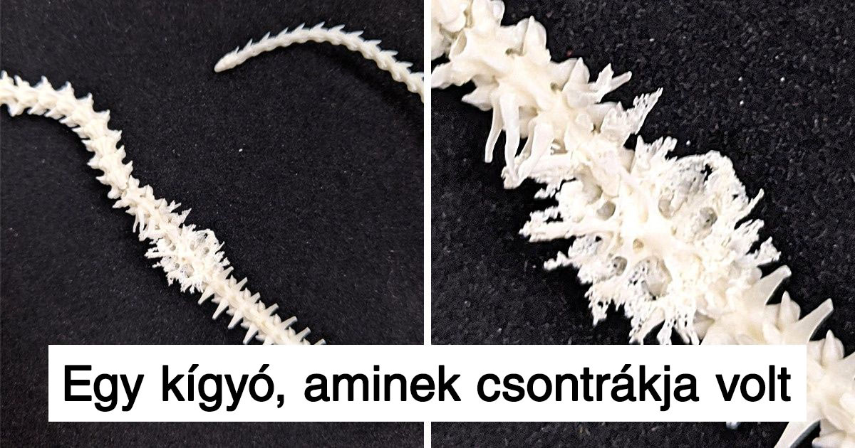 20 fotó, ami megmutatja, hogy az idő és a körülmények hogyan befolyásolják a dolgokat