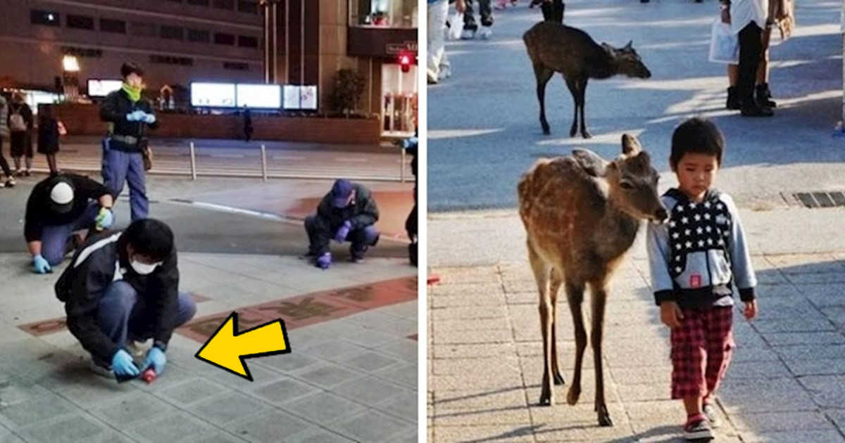 15 érdekes dolog, amiért a világ többi országa irigykedve nézi Japánt
