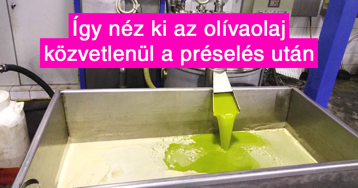18 fotó, ami segít elmagyarázni néhány olyan dolgot, amit nem tanítottak meg nekünk az iskolában