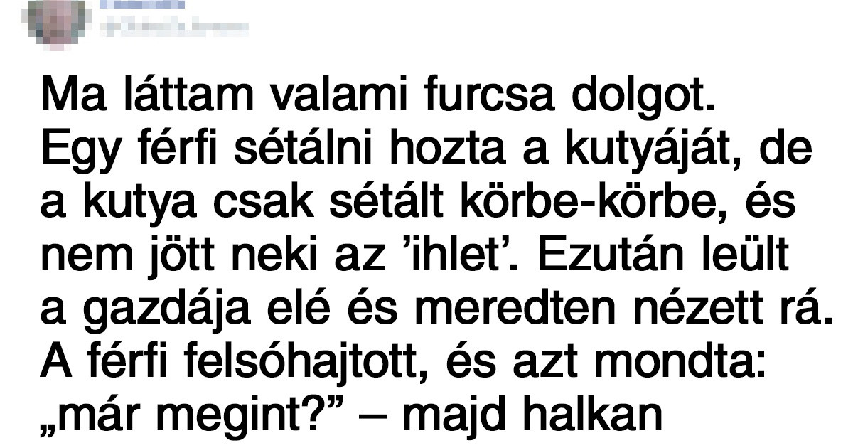 20 kutya, akik egy hangyányit különböznek az átlagos kutyáktól