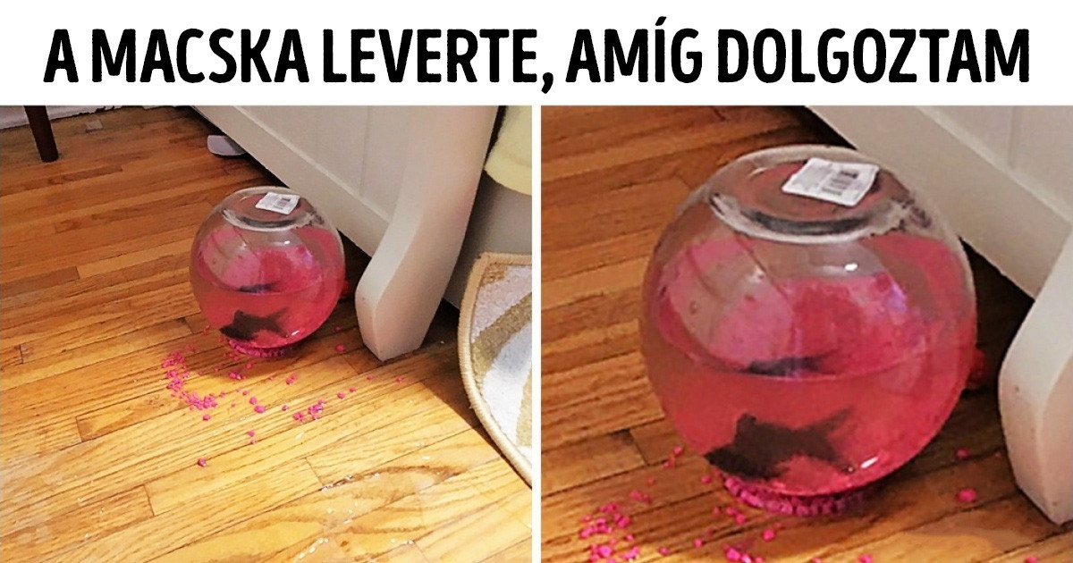 21 ember, aki csodával határos módon kerülte el a totális katasztrófát
