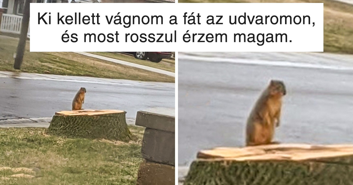 16 fotó, ami megmutatja, hogyan érzi magát az anyatermészet, amikor hátba szúrjuk