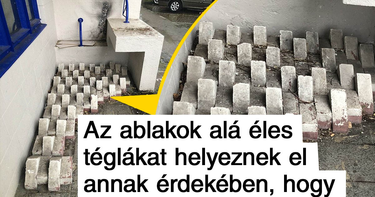 A holland élet 19 jellemzője, amik a másodperc tört része alatt megzavarják a külföldről érkezett embereket