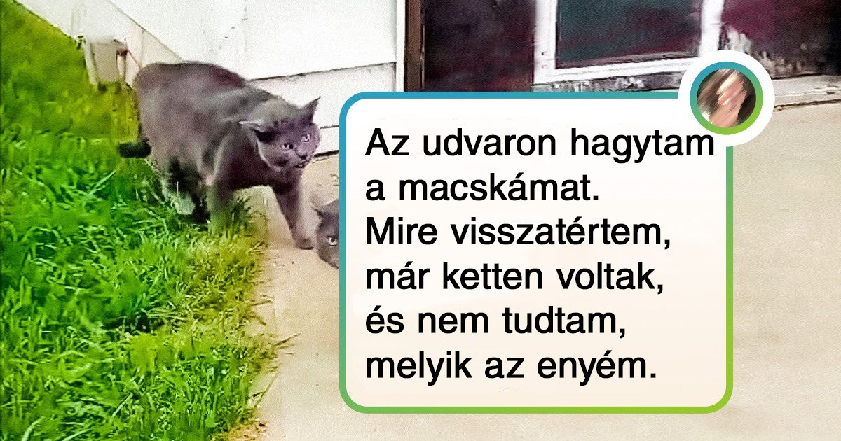 17 ember, aki teljesen véletlenül futott bele az univerzum egy látványos hibájába