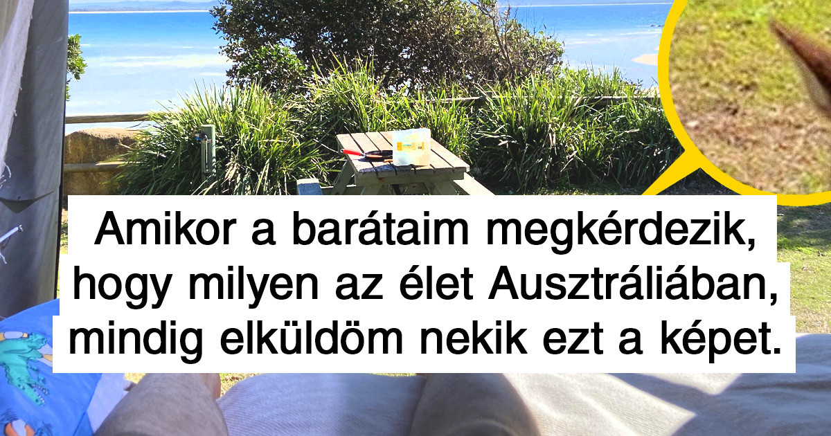 21 fotó, ami remekül mutatja be az ausztráliai élet lényegét