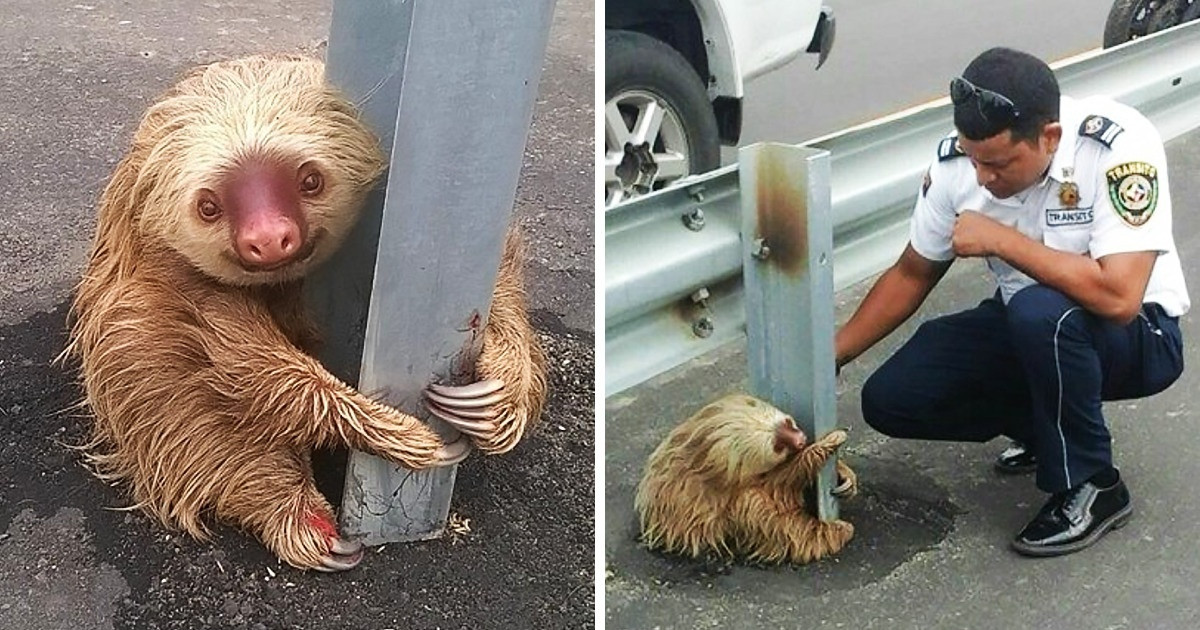 20 fotó, ami bizonyítja, hogy nem tűnt még el az emberség a világból