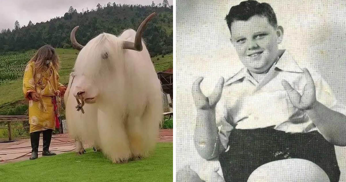 17 elképesztő fotó szokatlan dolgokról