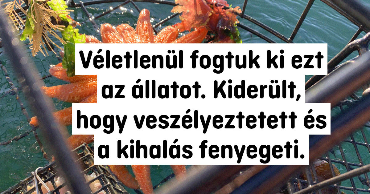 18 fotó, amit első látásra nem könnyű elhinni