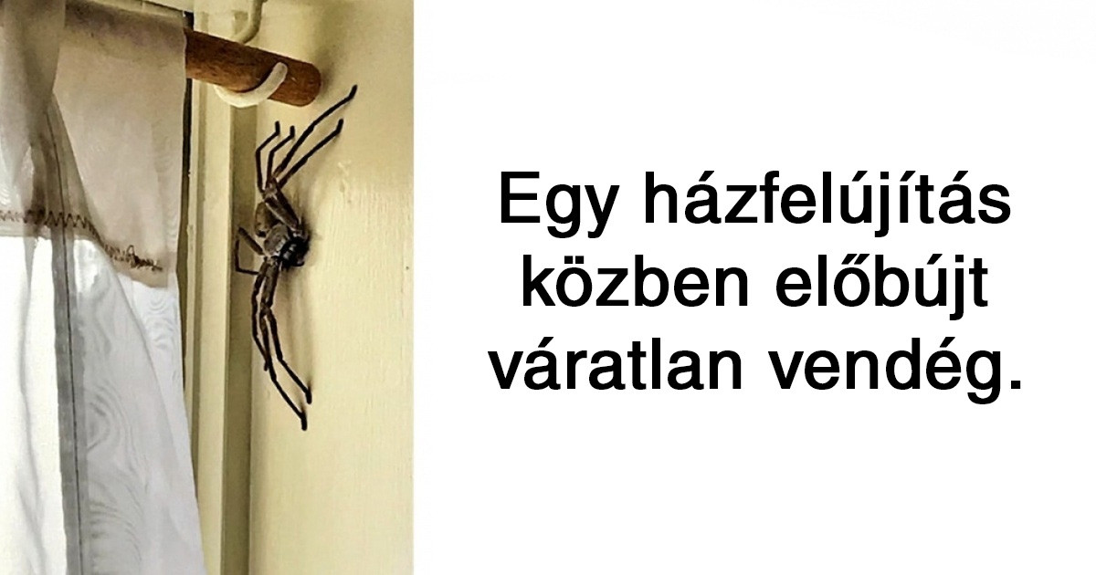20 hátborzongató fotó, amitől a hideg is kiráz majd