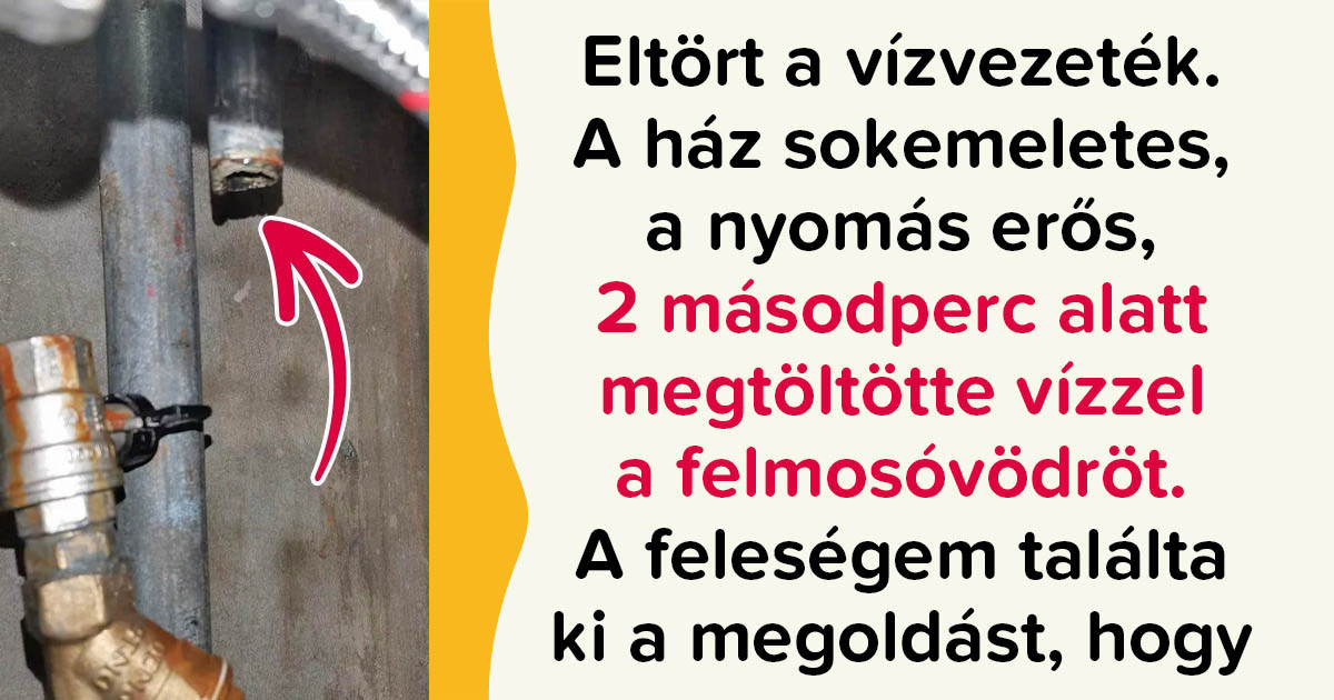 16 ember megmutatta, hogyan kell viselkedni azokban a helyzetekben, amikor a szerencse elpártol mellőlünk