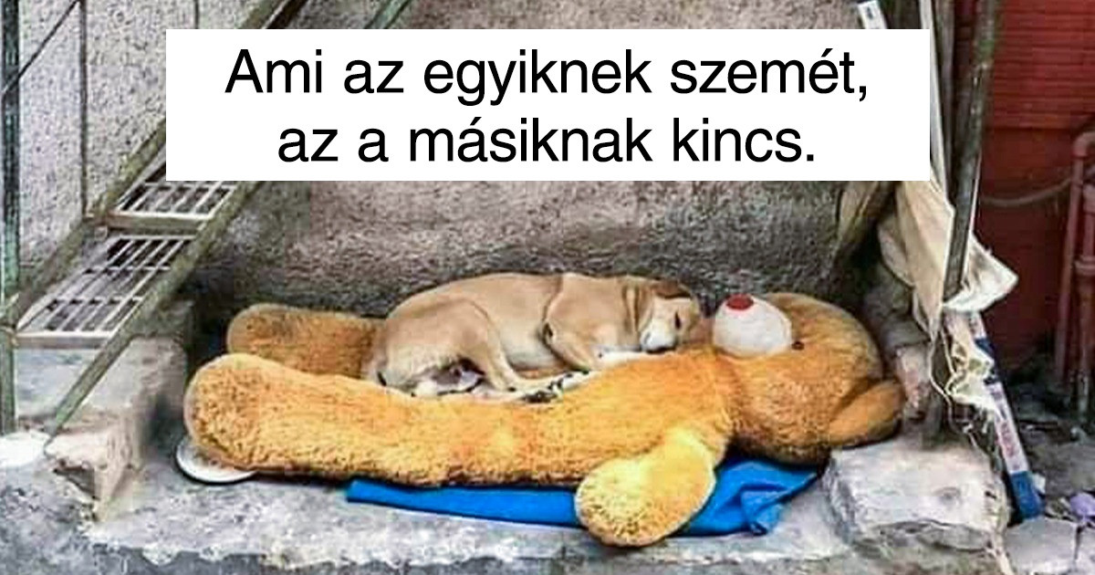 16 fotó, ami arra késztet, hogy még jobban értékeljük az életet