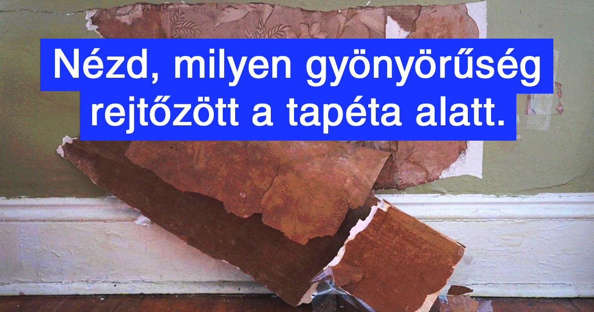 Az internetezők 16 antik dologra bukkantak, amiknek az ára minden évben egyre magasabb lesz