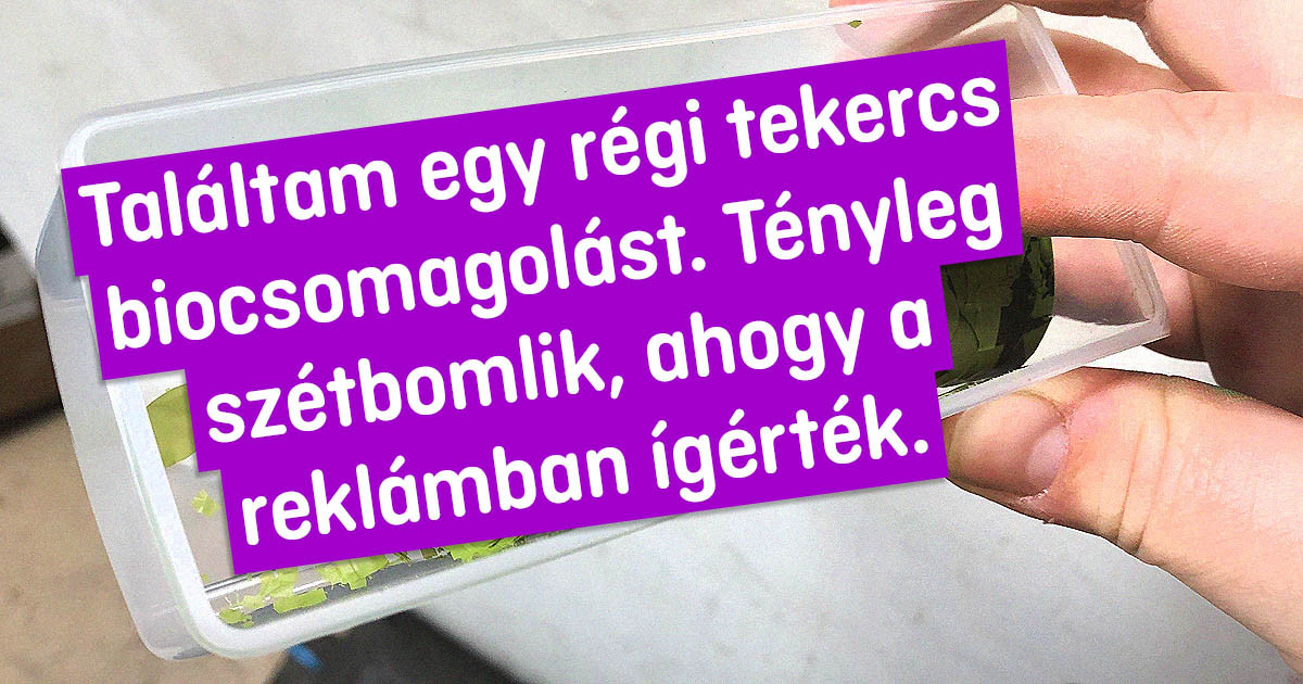 20+ ember, aki váratlanul megtudta, hogy "Mi történik, ha...”