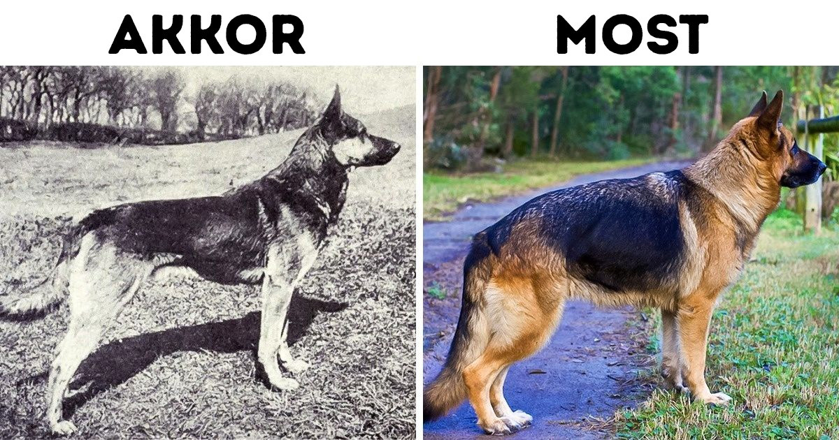 15 hétköznapi dolog, ami óriási változáson ment át az idők során