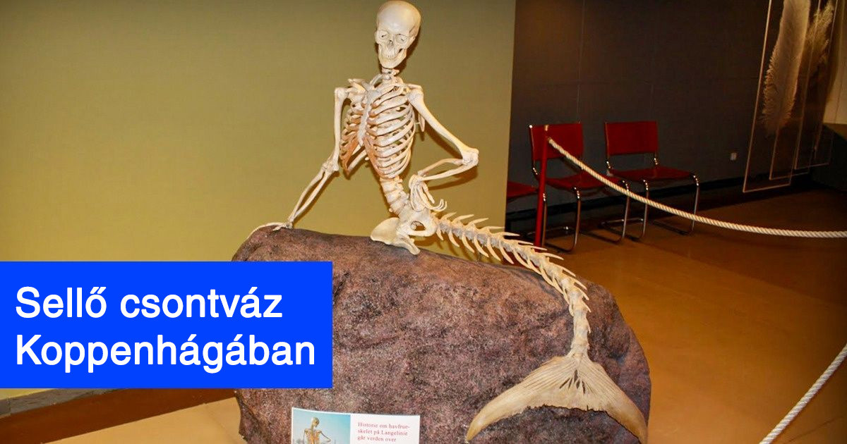 21 különleges múzeumi kiállítási darab, ami kizárólag egyetlen példányban létezik