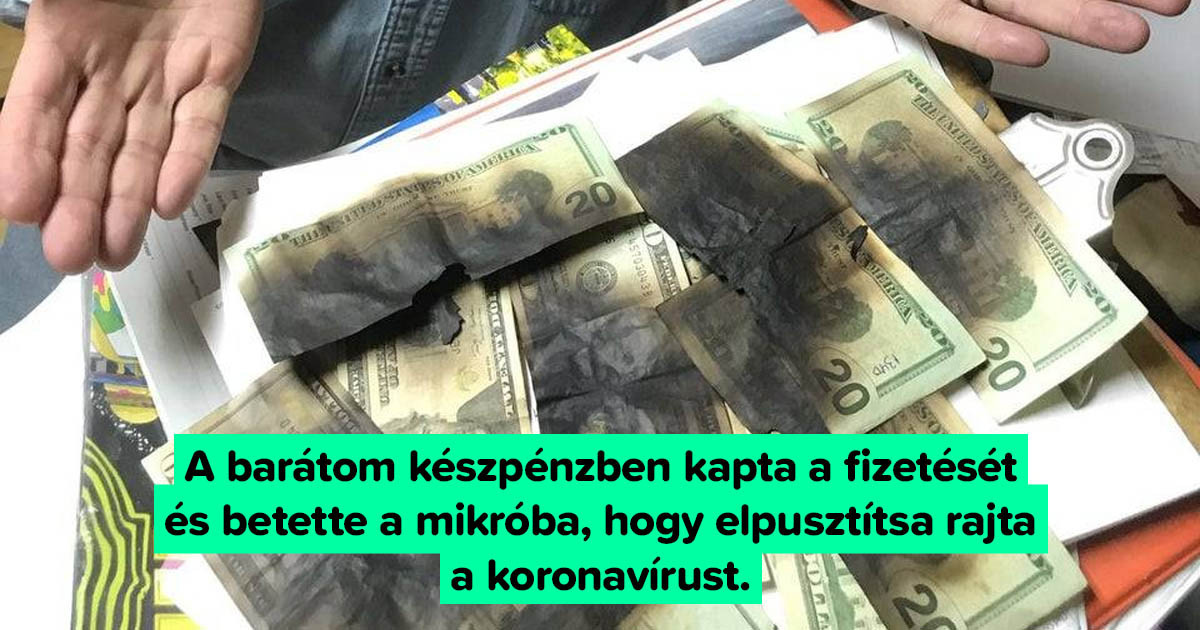 Néha mindenki hibázik: 13 vicces fotó