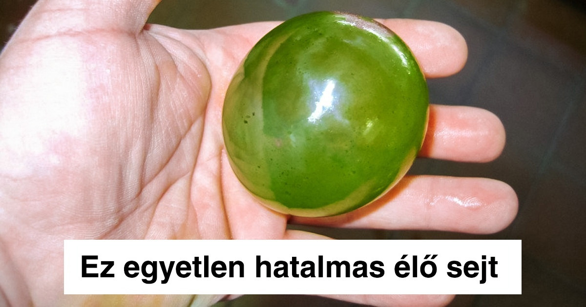 24 izgalmas fotó a világunkról, ami sokaknak igazi meglepetést okoz