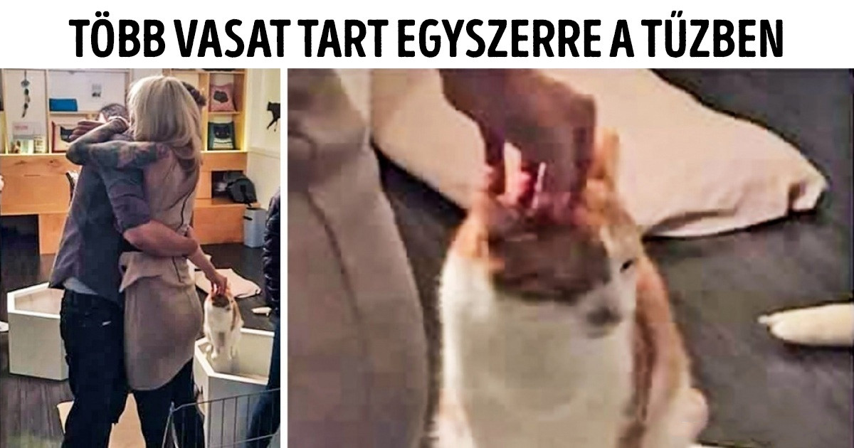 18 ember, aki még a legromantikusabb pillanatokat is képes tönkre vágni