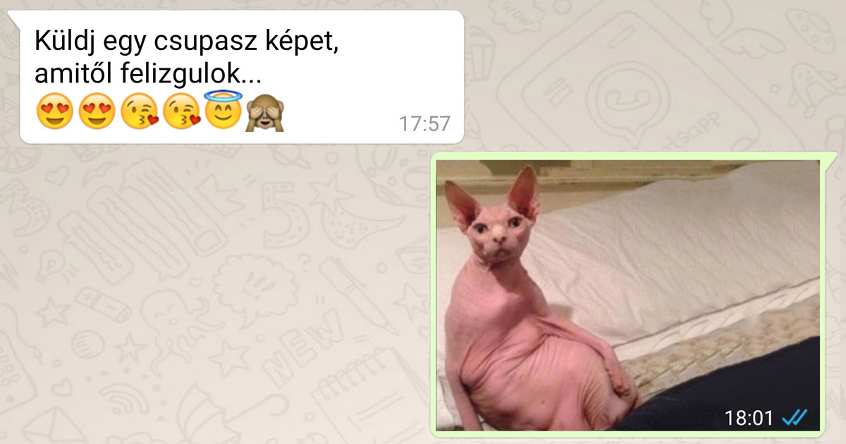 14 csaj, aki tudja, hogyan kell pikk-pakk lekoptatni a nyomulós pasikat