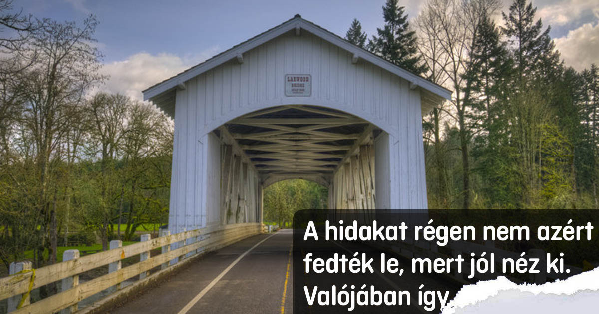 21 tény, ami túlságosan hihetetlennek tűnik ahhoz, hogy megértsük őket elsőre – pedig ez az igazság