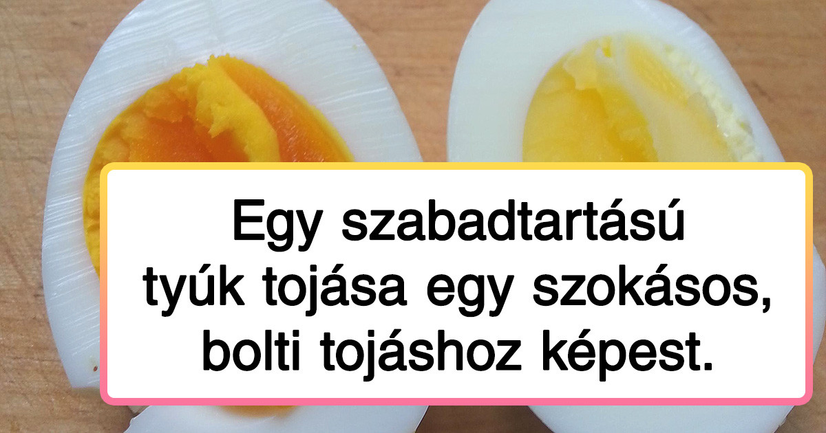 20 alkalom, amikor a hétköznapi dolgok összehasonlításával látványos különbségeket találtunk