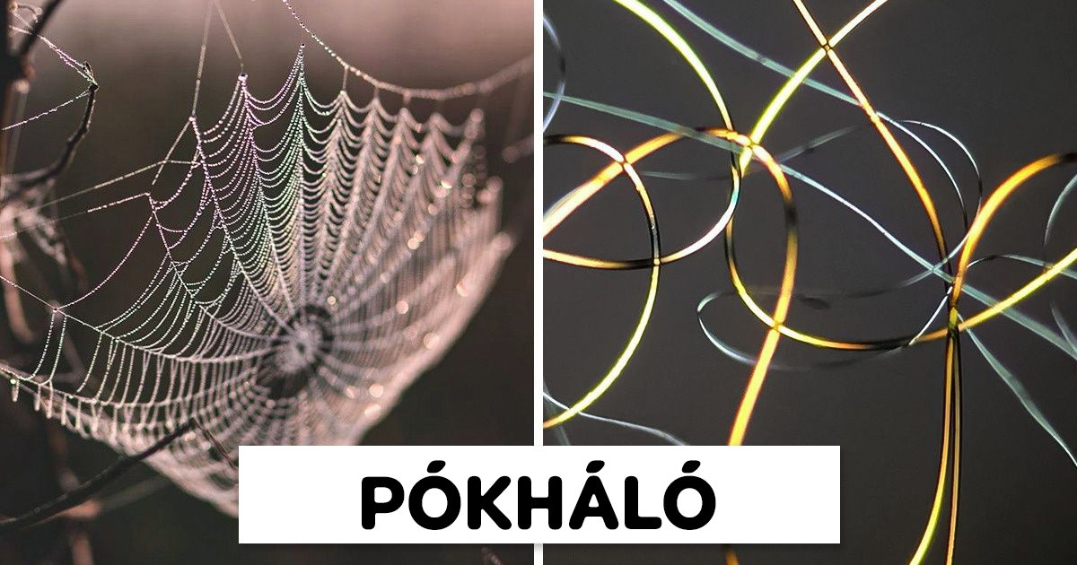 15 fotó, amiből kiderül, hogyan néznek ki a hétköznapi tárgyak mikroszkóp alatt