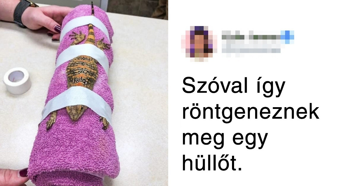 24 fotó, amivel néhány perc alatt tágíthatod a világgal kapcsolatos ismereteidet