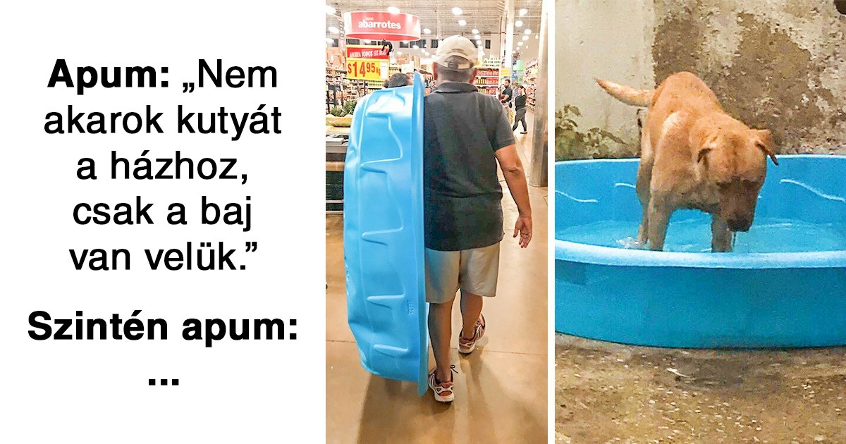 16 kép, ami bizonyítja, hogy a férfi logika épp olyan kiszámíthatatlan, mint a női logika