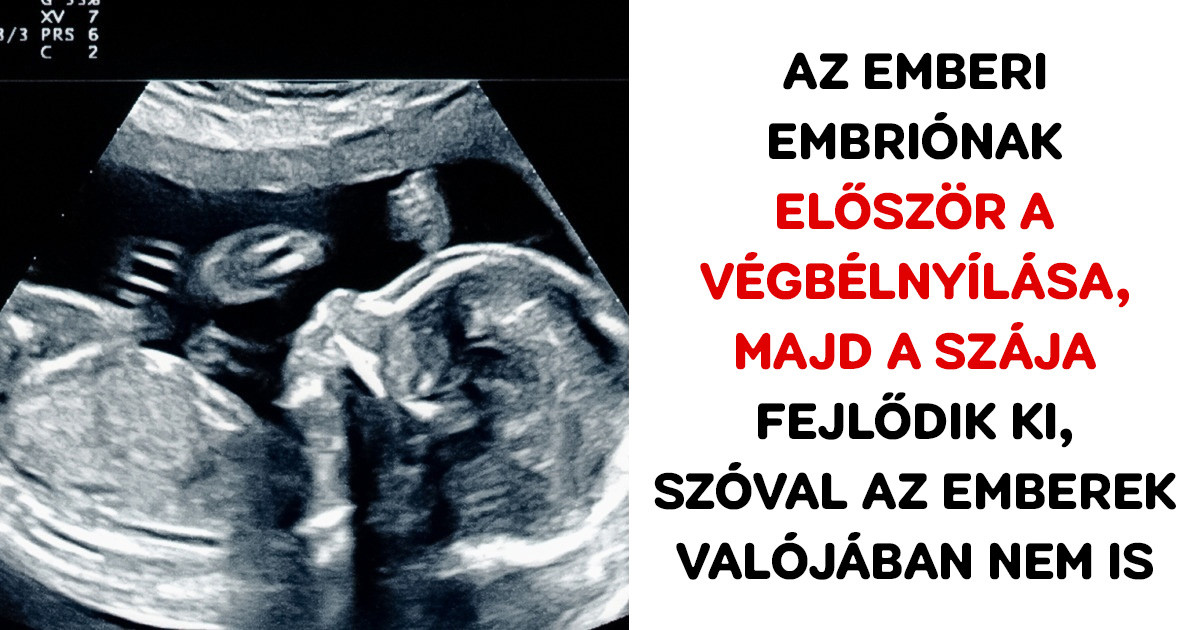 22 kellemetlen tény, aminek a tudatában teljesen másképp nézel majd a világra