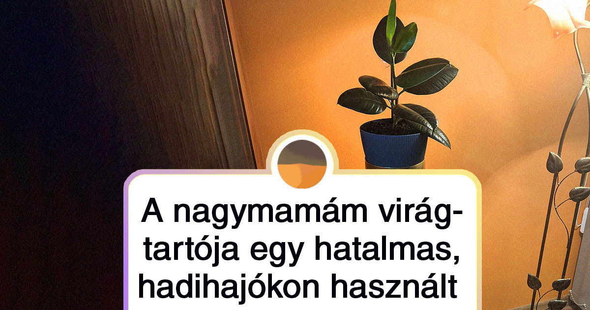 17 ember, akinek a találékonysága 110%-on működik