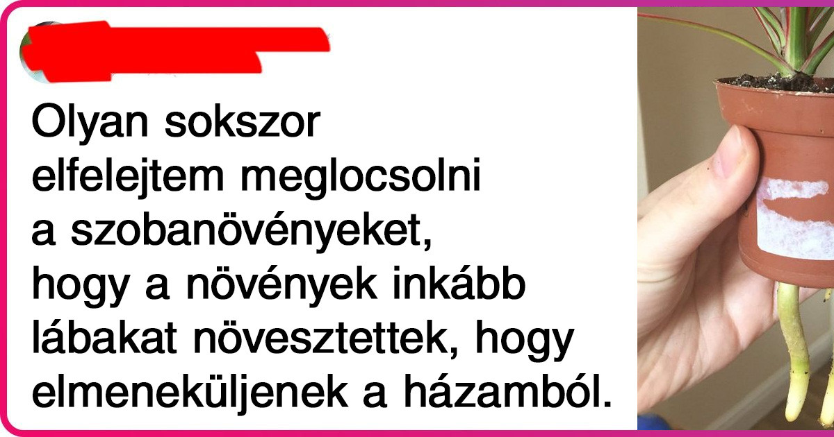 20 alkalom, amikor az emberek lustasága teljesen új szintre lépett