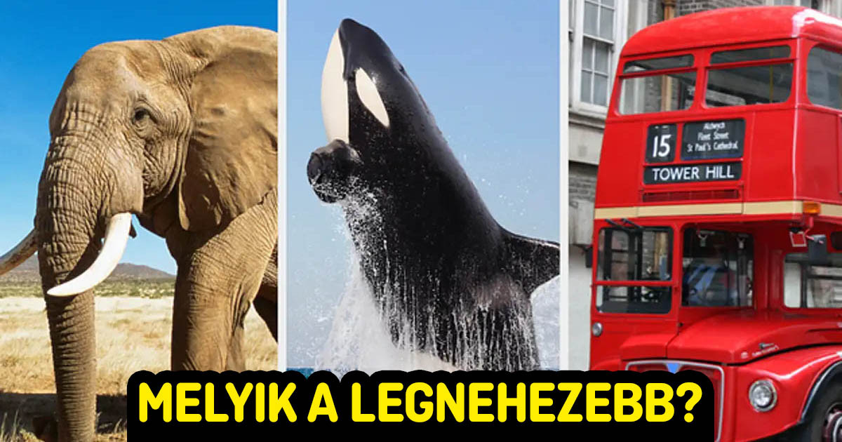 Teszteld a tippelési képességed azzal, hogy megpróbálsz helyesen válaszolni erre a 14 "Melyik a leg…?" kérdésre