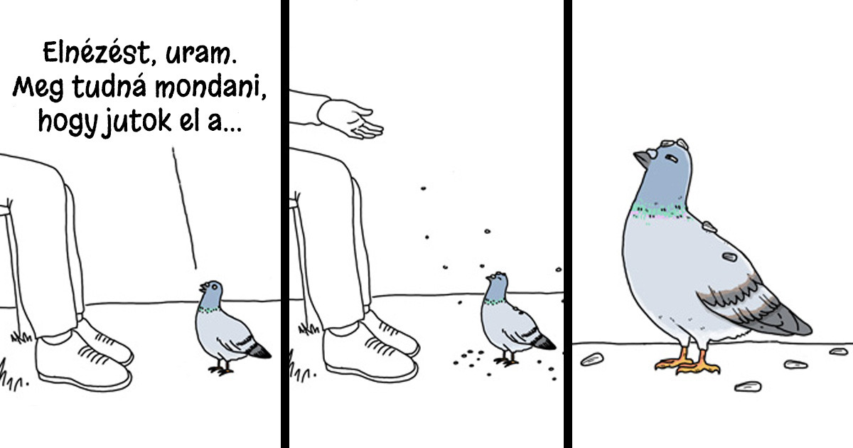 14 képregény, ami megmutatja, hogy milyen lenne a világ, ha a madarak beszélni tudnának