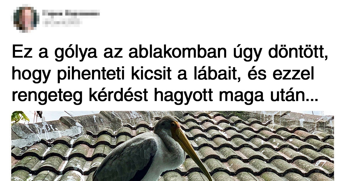 19 ember, akinek a felfedezései felforgatnak mindent, amit eddig a világról gondoltunk