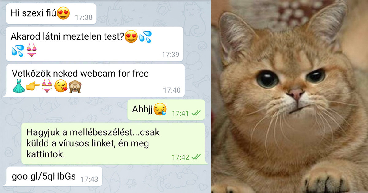 20 üzenet, ami bizonyítja, hogy a társkeresés néha kellemetlenül bonyolult