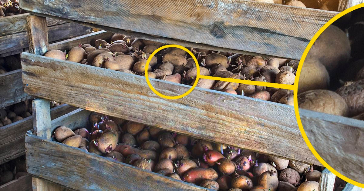 7 ismerős dolog, ami könnyen életveszélyes lehet, és mi még csak nem is sejtjük
