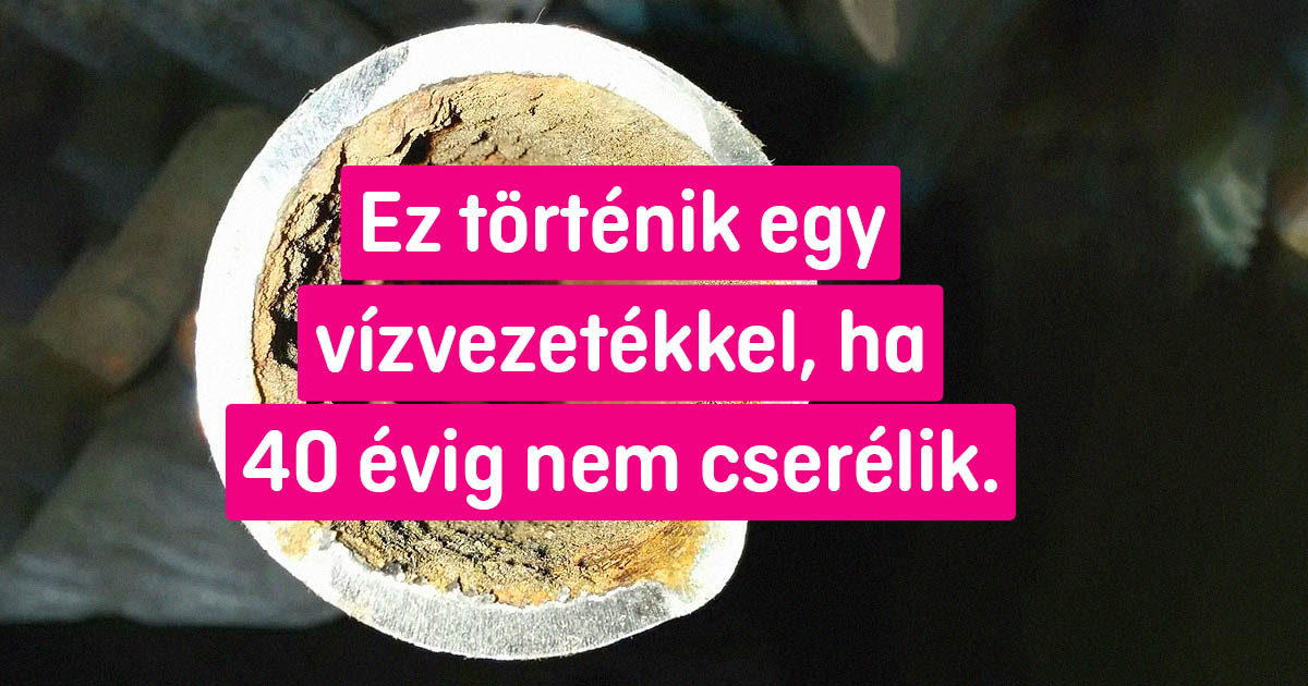 15 ember véletlenül belenézett a hétköznapi tárgyakba, és váratlan felfedezésekre bukkant