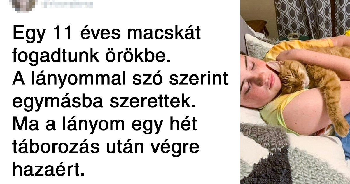 20+ ember, akinek sikerült lencsevégre kapnia az őszinte boldogság pillanatát