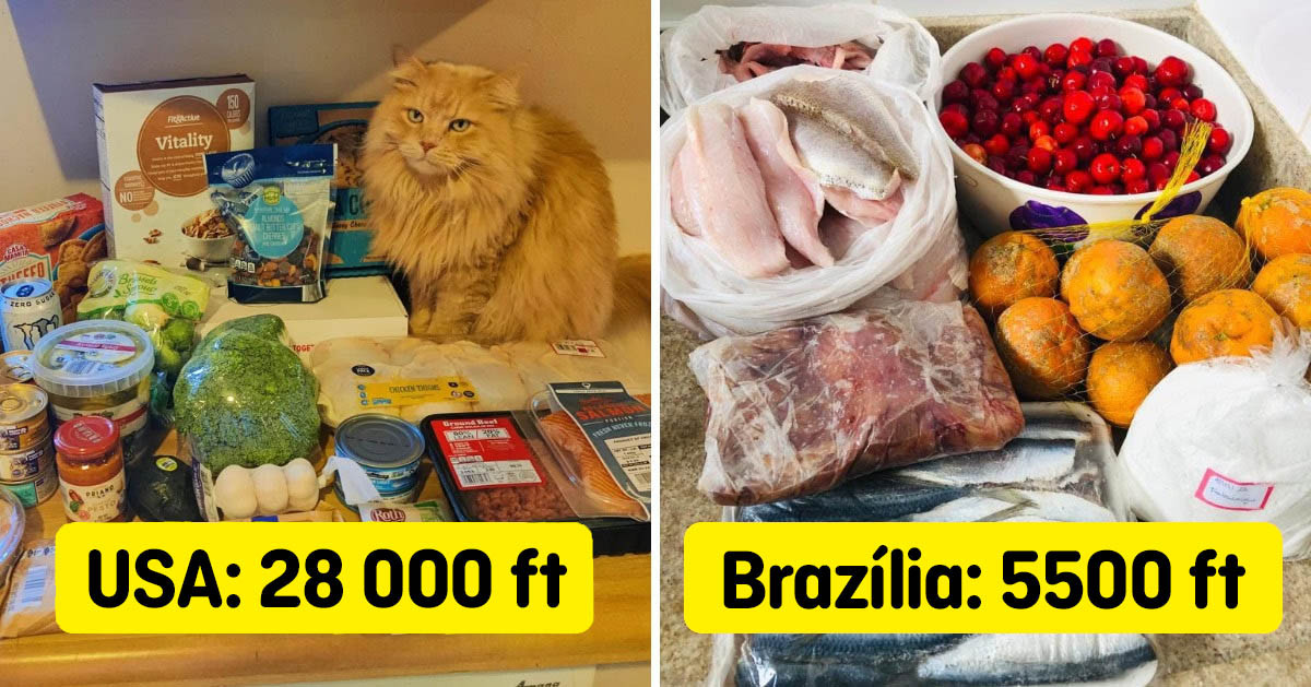 A világ különböző országainak lakosai megmutatták, mennyibe kerül az élelmiszer ott, ahol élnek