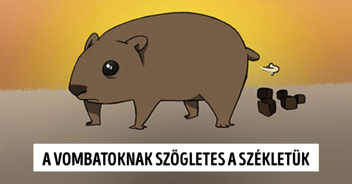 20 őrült tény az állatokról, amit nem tanítottak meg nekünk az iskolában