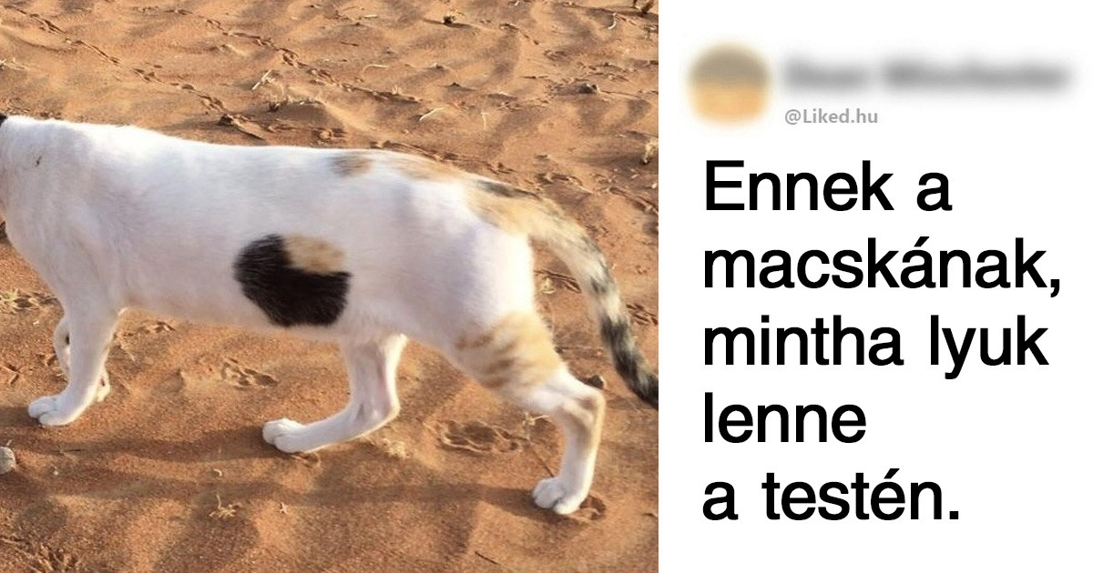 19 ember, akinek a fantáziája teljesen más frekvencián üzemel