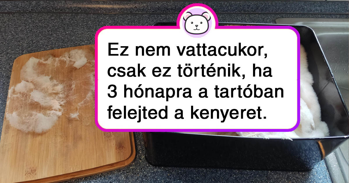 21 ember, akik véletlenül választ kaptak néhány izgalmas "Mi történik, ha…?" kérdésre