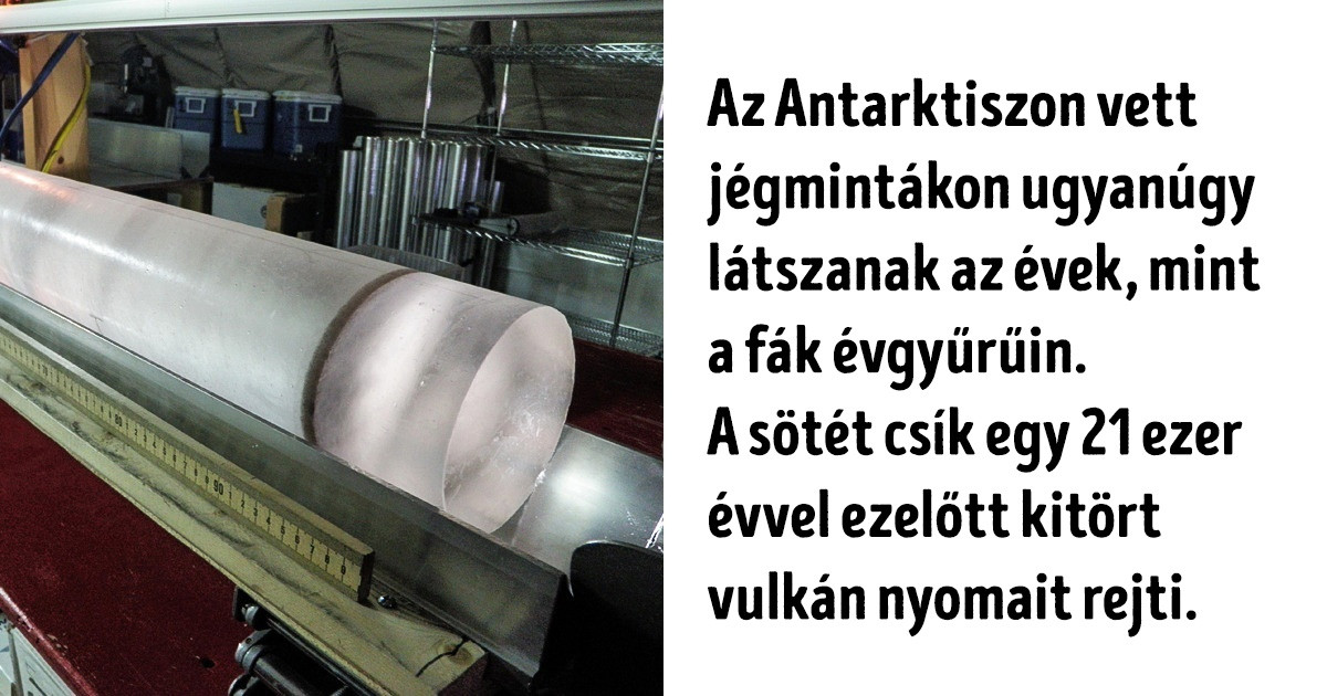 20 fotó azoknak, akik azt hitték, hogy őket már nem érheti meglepetés