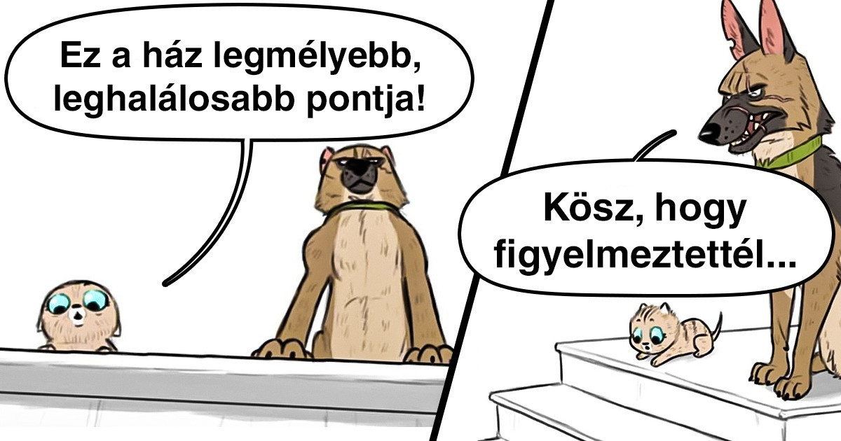 Egy amerikai művész képregényeket rajzol egy édes kiscica és egy harcias juhászkutya barátságáról