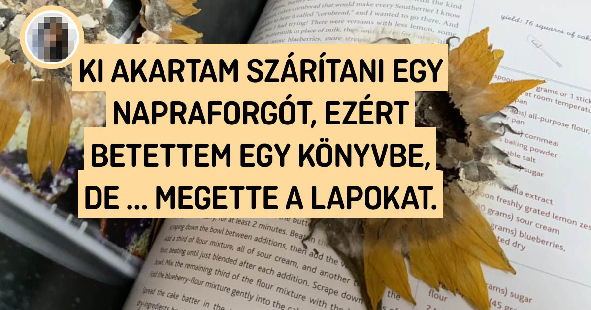 20 fotó, amivel 5 perc alatt többet tudhatsz meg a világról, mint egy hét iskolai tanulmánnyal