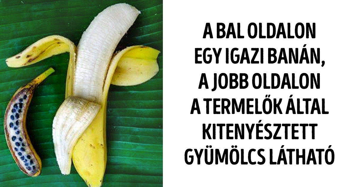 21 fotó, ami bizonyítja, hogy mennyi felfedezés vár még minket a nagyvilágban
