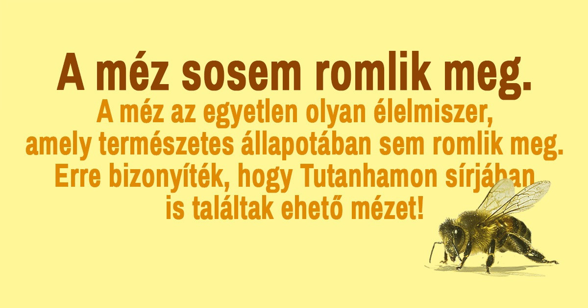 21 lenyűgöző tény az emberiségről és a közvetlen környezetünkről