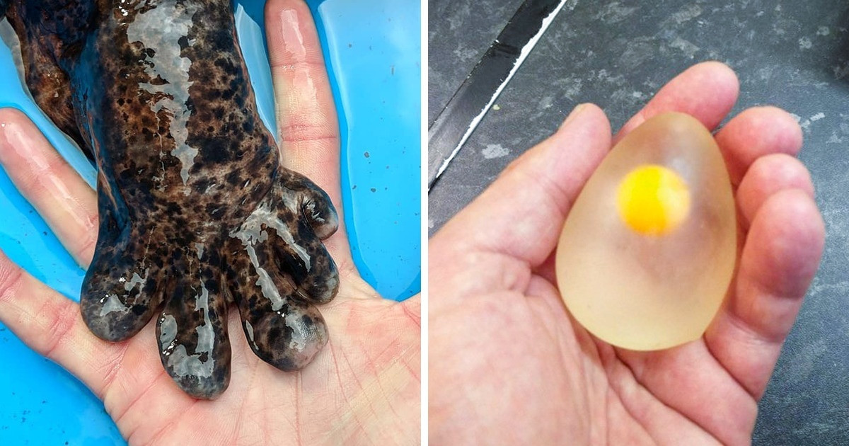 24 fotó, ami alig 5 perc alatt segít kibővíteni a világgal kapcsolatos ismereteidet