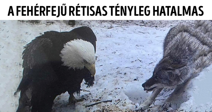 16 látványos összehasonlítás, ami többet mond ezer szónál