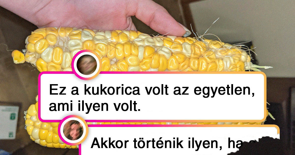 Ezek a zöldségek és gyümölcsök olyan szokatlan formájúak, hogy több lájkot kaptak az interneten, mint az influenszerek